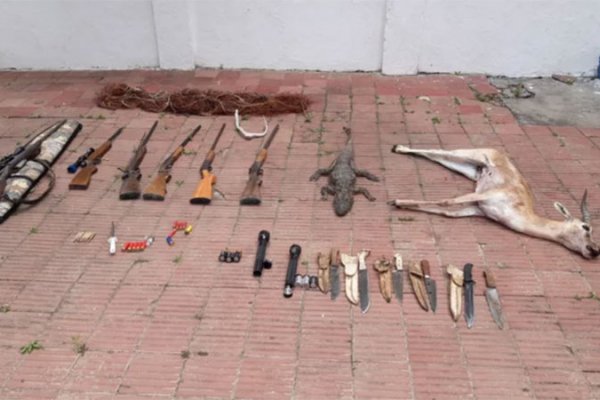Corrientes: Detuvieron a seis personas por cazar yacaré y antílope