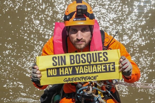 Activistas de Greenpeace se colgaron del puente Chaco-Corrientes contra la deforestación