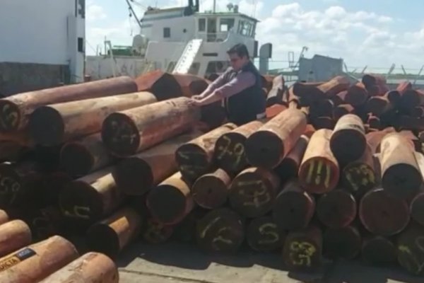 Detectaron irregulares en la exportación de madera en Corrientes