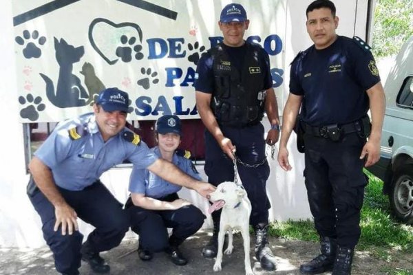 Rescataron a un perro que se encontraba atado bajo el sol y sin agua