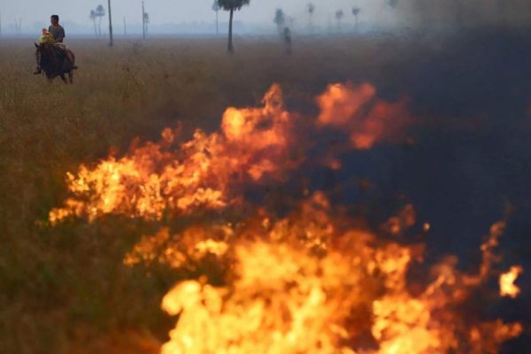 Quemaron desechos de madera e inician una causa judicial en Santa Rosa