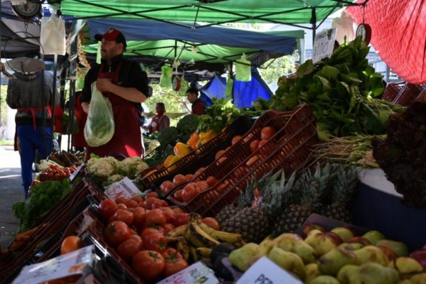 Ferias de la ciudad: Hoy en Plaza Torrent y Plazoleta Evita