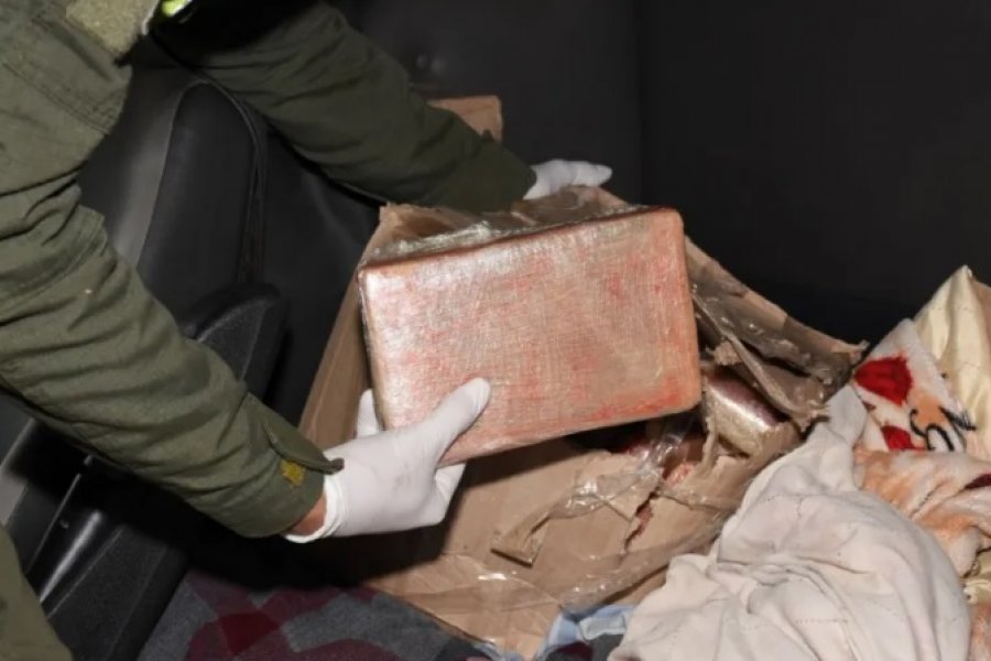 Perro de Gendarmería descubrió un cargamento de droga en Corrientes
