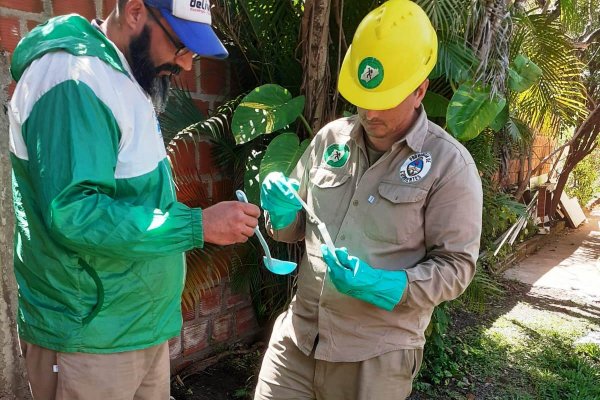 Realizaron relevamiento entomológico en Ituzaingó