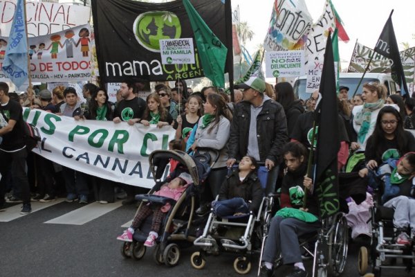 Cannabis medicinal: el gran desafío es asegurar un producto de calidad y accesible