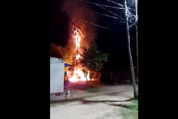 Corrientes: un rayo cayó sobre una palmera y lo prendió fuego