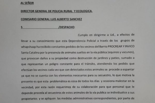 Corrientes: la municipalidad capitalina ahora suma quejas por animales sueltos en Santa Catalina
