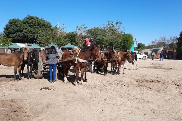 Relevan a los caballos usados por carreros