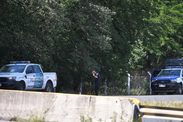 Vuelven a rastrillar la zona donde Susana Cáceres fue vista hace una semana