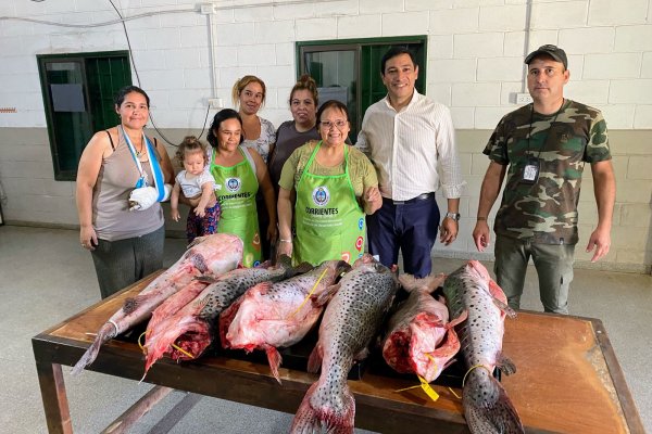 Comedores capitalinos recibieron pescados decomisados