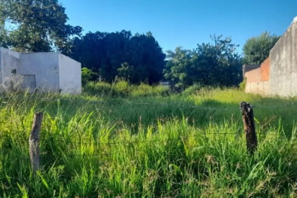 Motochorro sustrajo una cartera y chocó mientras era perseguido