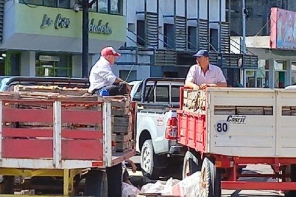 Corrientes y el golpe económico: remataron tomates por falta de venta