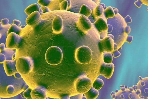 Corrientes registró un caso nuevo de Coronavirus 