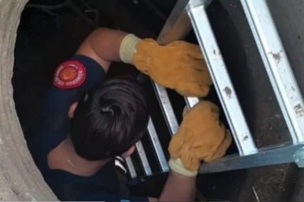 Los Bomberos de Corrientes rescataron a un perro que se cayó en un pozo