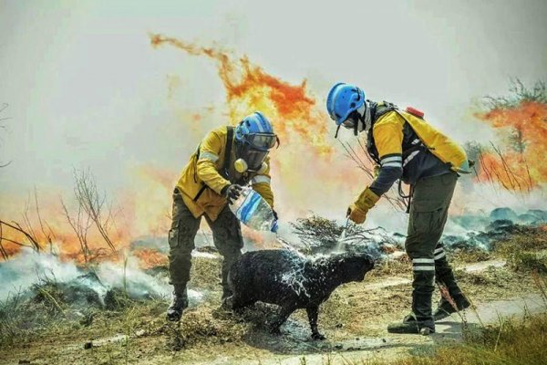 Nación prorrogó el estado de emergencia y/o desastre agropecuario en Corrientes