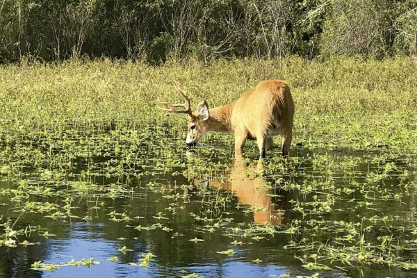 Corrientes: presentarán un plan de obras de $300 millones para Parques Nacionales
