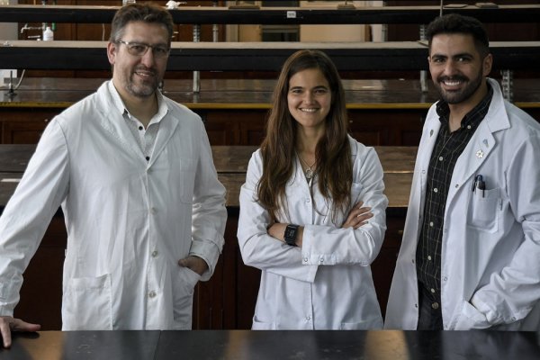 Desarrollan en Argentina biotinta que contiene aceite de cannabis para restaurar tejidos