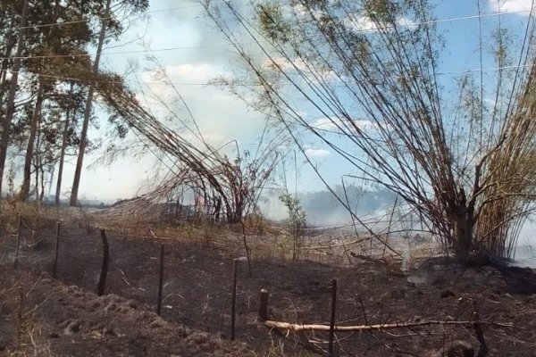 Corrientes: un incendio intencional arrasó con tendido de media tensión de la DPEC