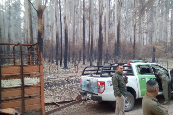 Corrientes: cuatrerismo sin límites en una comuna del interior provincial