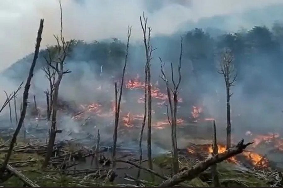 Tierra del Fuego: los incendios forestales llevan cinco días y las llamas arrasaron 1500 hectáreas