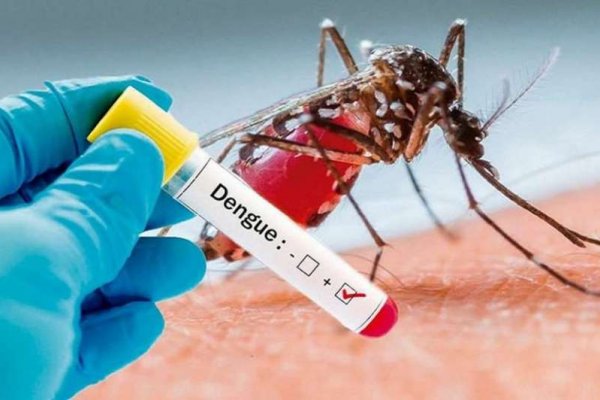 Corrientes acumula 1.180 casos de dengue
