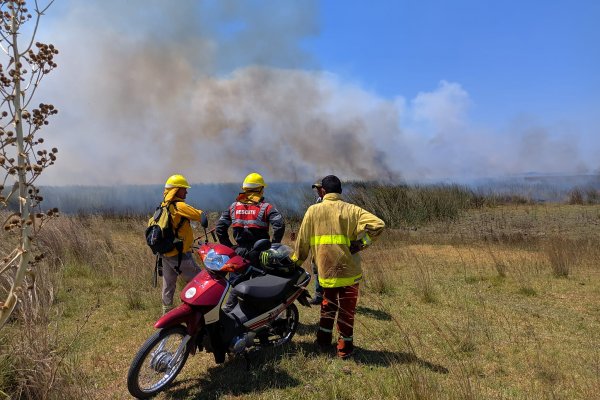 Corrientes y los incendios, un bombero anticipó: Estaremos como a comienzo de año