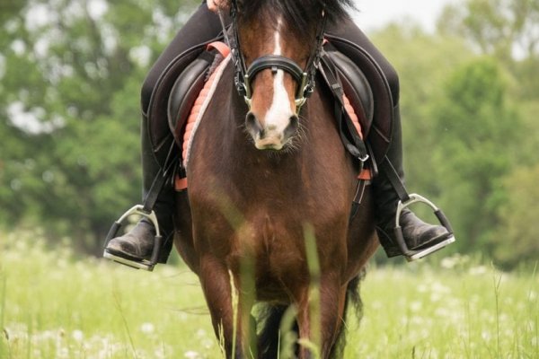 Corrientes: un hombre murió luego de recibir varias patadas del caballo que montaba