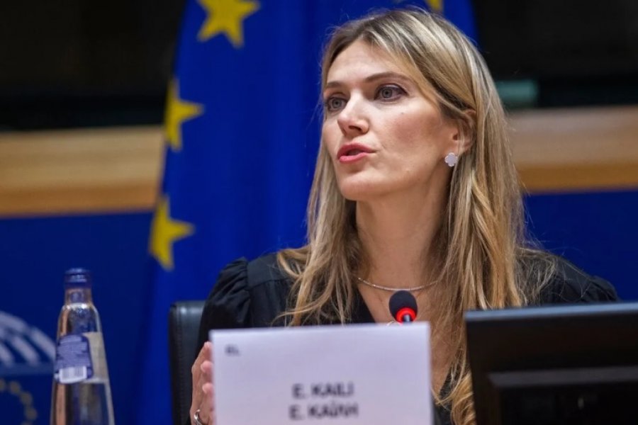 Detuvieron a una diputada del Parlamento Europeo cuando llevaba bolsas de billetes