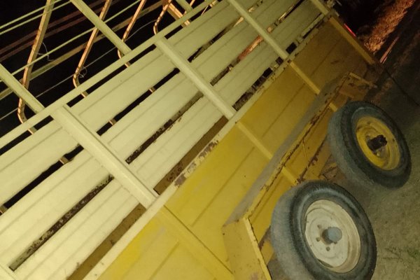 La Policía demoró a tres hombres y secuestró productos cárnicos de un animal silvestre y armas de fuego