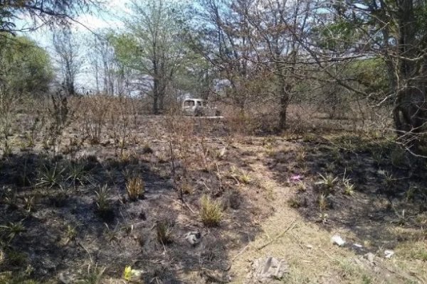 Los cuerpos calcinados en Guernica no son de los jóvenes desaparecidos de Florencio Varela