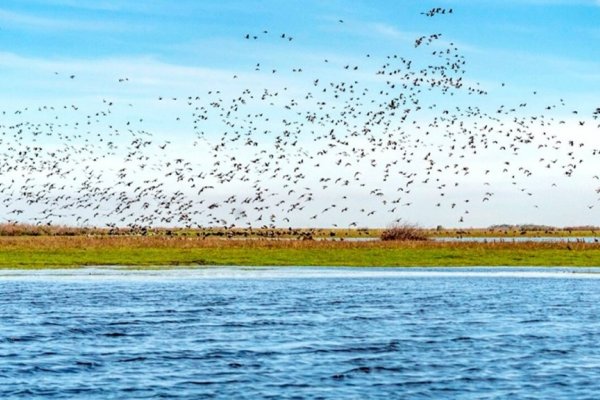 Certificaron a los Esteros del Iberá como destino de astroturismo por la calidad de su cielo