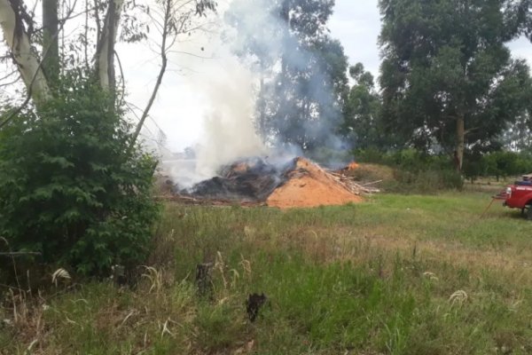 Iniciaron acciones legales contra un aserradero de una localidad correntina por iniciar quema