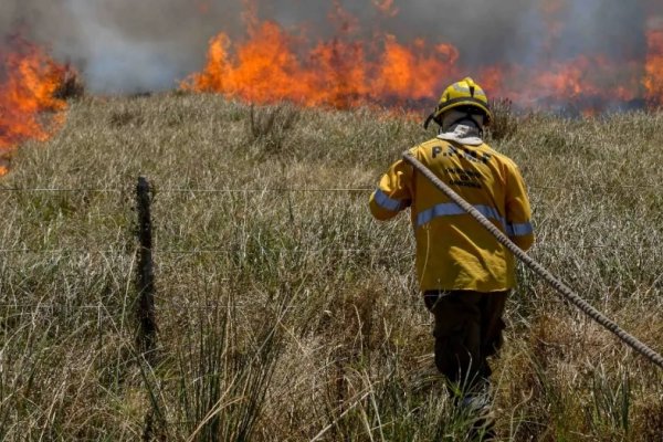 Incendios de grandes dimensiones afectó a dos campos de la localidad de Monte Caseros