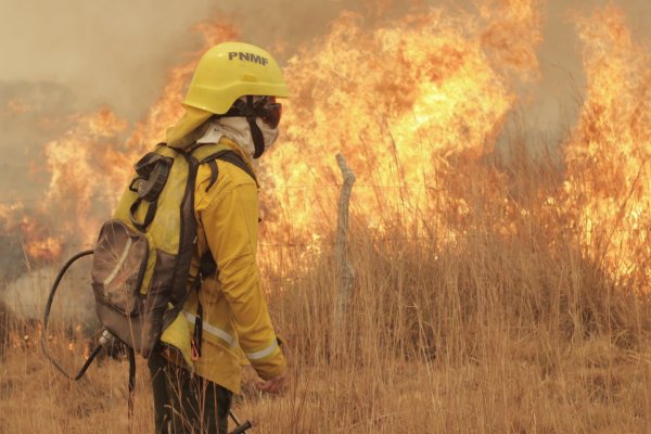 Se quemaron más de 600 hectáreas del Parque Nacional Iberá