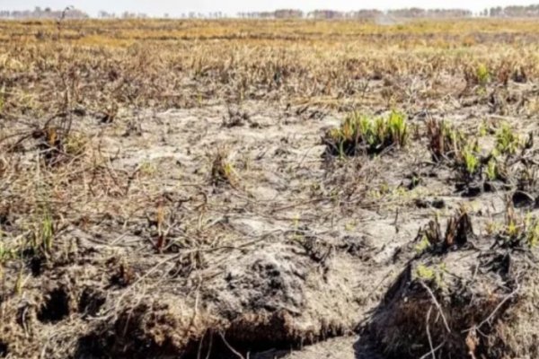 Sequia en Corrientes: estado de alerta permanente por peligro de incendios ante la falta de lluvias