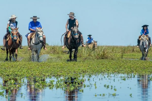 El Iberá recibió más de 60 mil visitantes durante el 2022