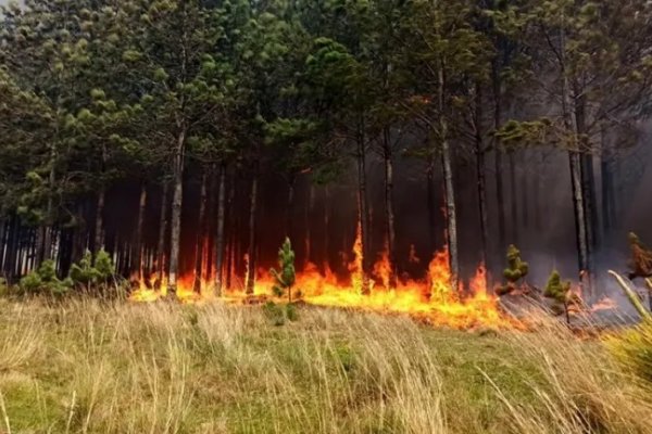 Corrientes: fuerte advertencia del Ministerio de Seguridad sobre los incendios