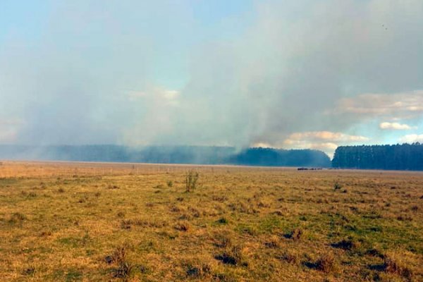 Corrientes y otras cinco provincias mantienen focos activos de incendios