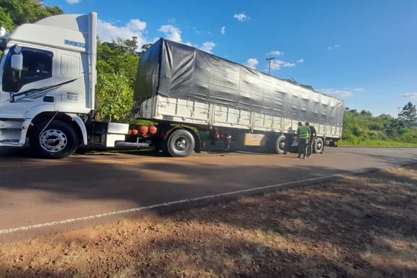Inspeccionan dos camiones con 113 toneladas de granos de soja de contrabando