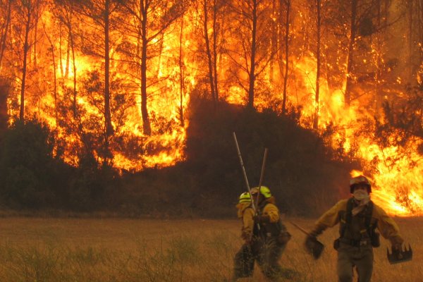 Corrientes se encuentra entre las cuatro provincias con focos activos de incendios