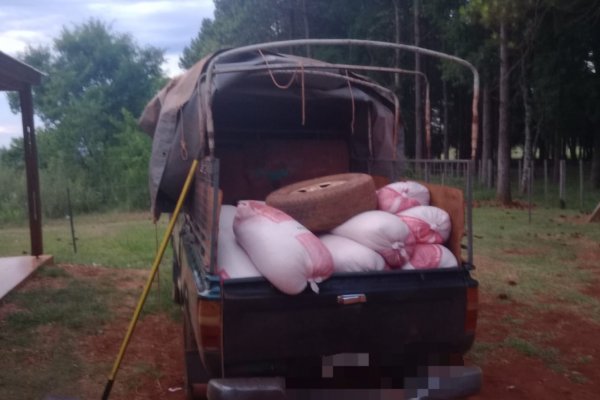 Secuestraron bolsas de maíz y dos animales vacunos de dudosa procedencia