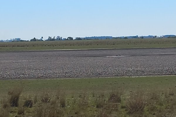 Corrientes: denunciaron al interventor del ICAA por toma de agua indiscriminada de ríos