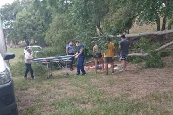 Cayó un árbol encima de un hombre que ingresaba a una playa correntina