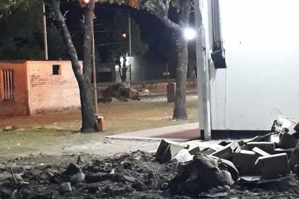 Corrientes: denuncian tala indiscriminada de árboles en plena sequía y verano