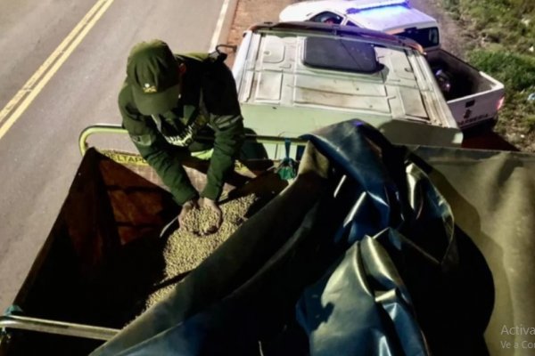 Gendarmeria secuestró  30 toneladas de soja en Corrientes