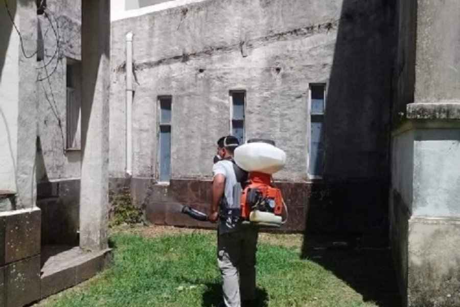 Detectaron un caso de dengue en una localidad del interior de Corrientes