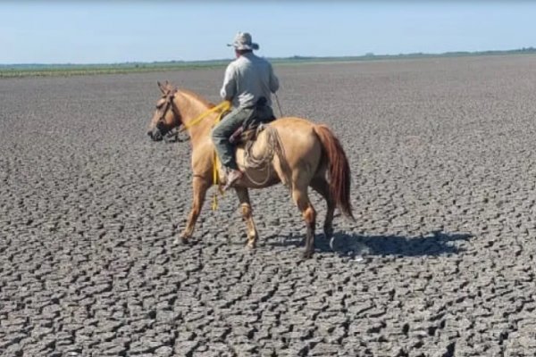 Impactante imagen de los campos de Corrientes por la sequía extrema