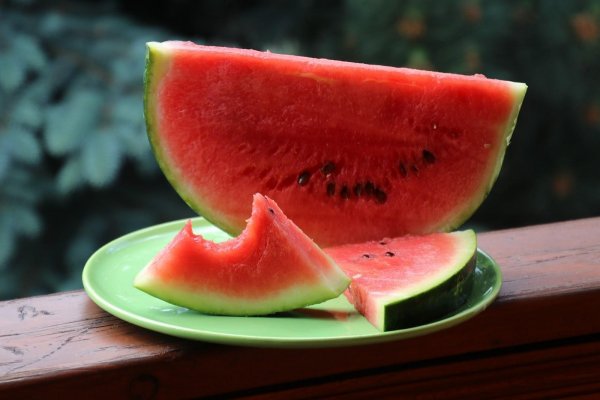 Olas de calor: la importancia de conocer tu genética para hidratarte y alimentarte bien