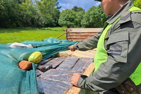 Secuestran más de 4 toneladas de marihuana ocultas entre sandías y melones