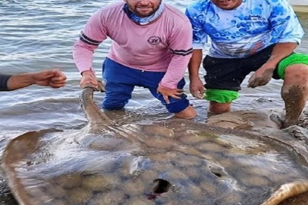 Corrientes: un grupo de turistas pescó una enorme raya en el río Paraná